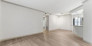 Buckhead and Vine Gallery 5