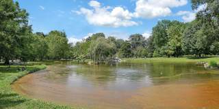 174 Reinhard Avenue Gallery 37