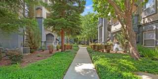 Broadleaf Apartments Gallery 15