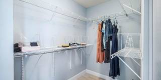 4180 Manor Forest Trail Gallery 23