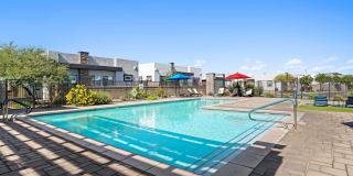 Olive Queen Creek Gallery 21