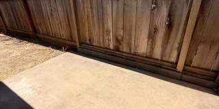 2816 Windsong Avenue Gallery 33