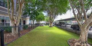 Westpark Ranch Gallery 19