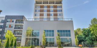 Haven at Charlotte Gallery 1