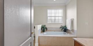 2981 Dovedale Court E Gallery 22