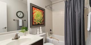 University Ridge Apartments Gallery 17