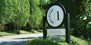 Bellevue One Condo Apartments Gallery 21