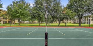 The Canyons Gallery 41