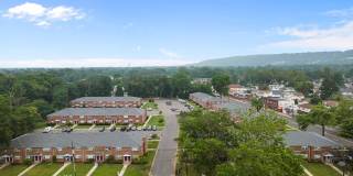 Hampton Gardens Gallery 53