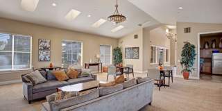 The Vintage Gallery 17