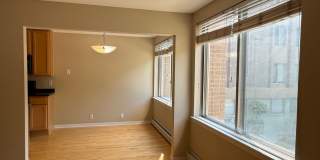 Lovely Lowry Hill 1 Bedroom Condo Gallery 12