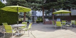 Whimsical Pig Gallery 13