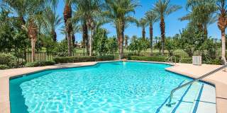 359 Desert Holly Drive Gallery 31