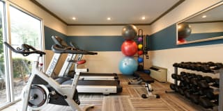 Icon Lakewood Gallery 17