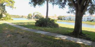 4053 Crockers Lake Blvd #2421 (Vintage Grand) Gallery 12