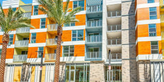 Citrus Commons Gallery 33