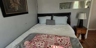 167 Ennell St Gallery 1