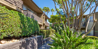 Elán Avante Apartment Homes Gallery 7