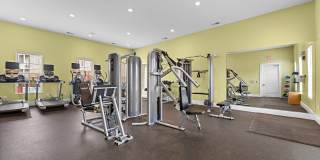 Ardmore Springs Gallery 9