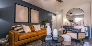 The Orion The Orion Gallery 2