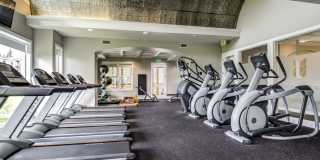 Belara At Lakeland Gallery 19