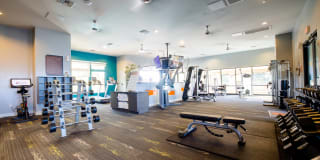 Liv Ahwatukee Gallery 7