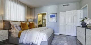 Sofia Coral Gables Gallery 28