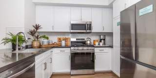 Vineyards Gallery 130