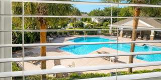 10222 PINK PALMATA COURT Gallery 11
