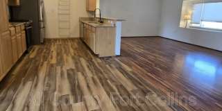 3727 Mount Spalding Drive Gallery 4