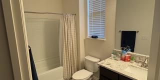 17824 Davis Meadow Court Gallery 16
