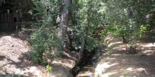 Hillgrove Creek Gallery 11