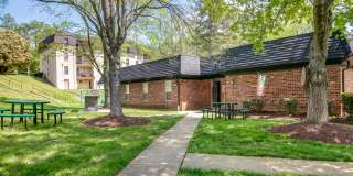 Willow Oaks Gallery 22