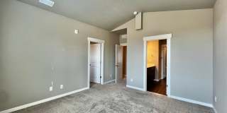 Mangold831 (KC-LN) Gallery 42