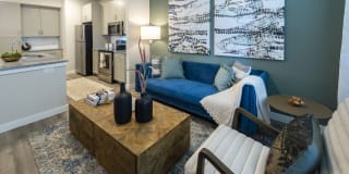 Braxton at Tamarron Gallery 12