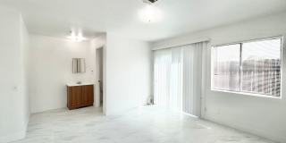 PS T 66369 Gallery 15