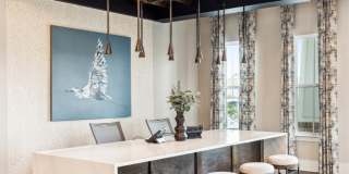 Riverchase Vista Gallery 14