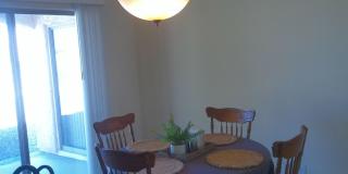 Winter Rental Available October-April 2027 Gallery 15