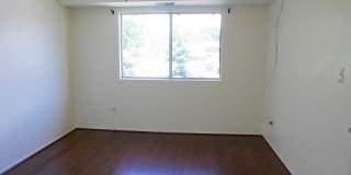 One Bedroom Condo located in Gardens At Owings Mills! - RENT SPECIAL Gallery 7