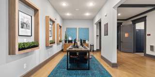 Water Oak Gallery 46