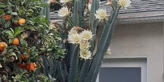 2219 Glendon Ave Gallery 1