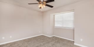 Sussex Downs Gallery 48