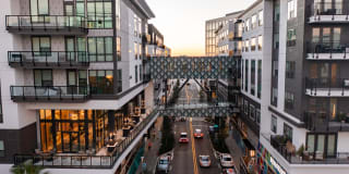 Novel Midtown Tampa Gallery 1