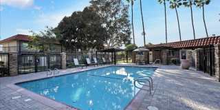 Tierra Palms Gallery 67