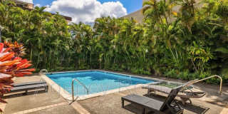 1114 Punahou Street Gallery 8