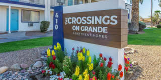 Crossing on Grande Gallery 25