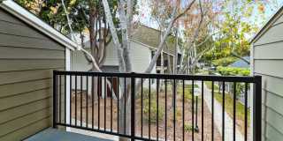 Briarwood Gallery 40