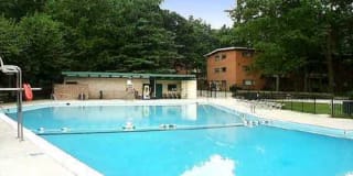 Glenmont Forest Gallery 28