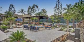 Park Pointe Gallery 29