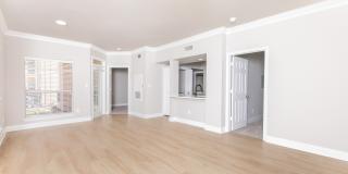 Las Palmas Gallery 20